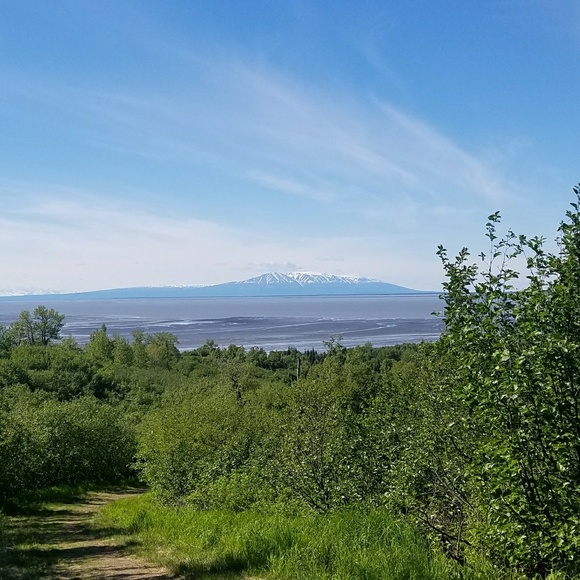 Meet your Posher, Tracee - Picture 1 of 1